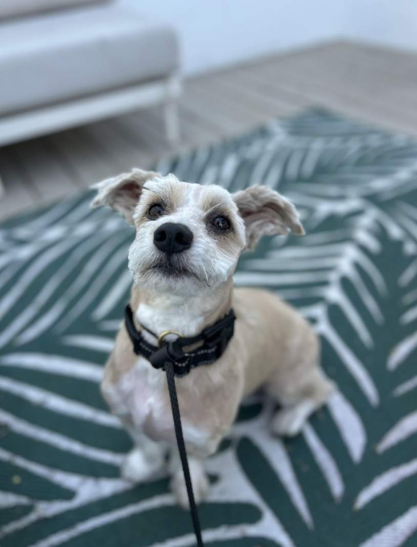 Screenshot 2026-03-14 at 6.31.27 PM.png