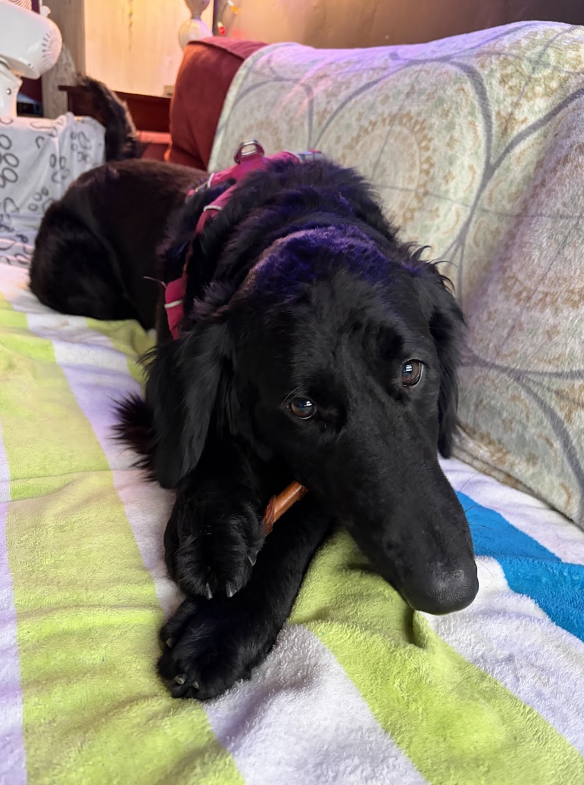 Screenshot 2026-03-20 at 3.22.15 PM.png