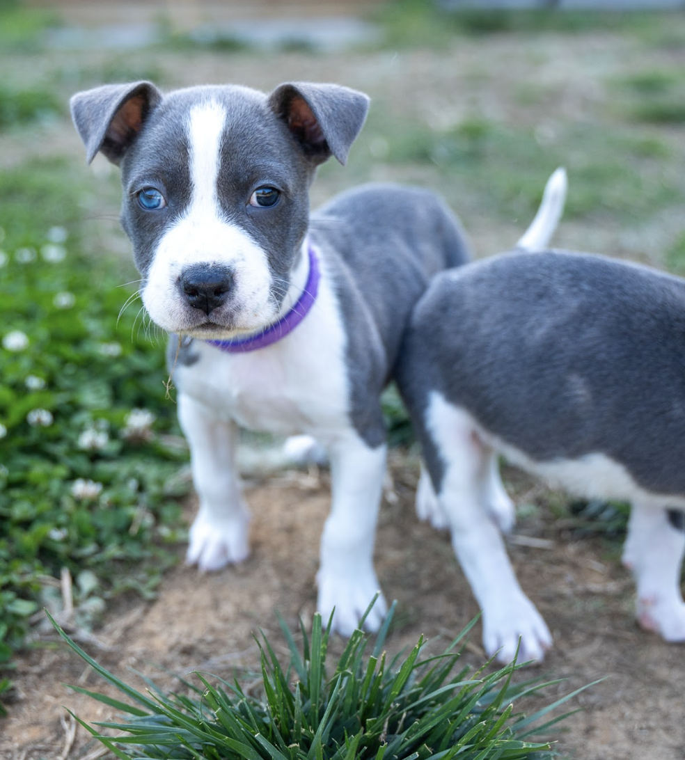 Screenshot 2026-04-23 at 2.17.13 PM.png