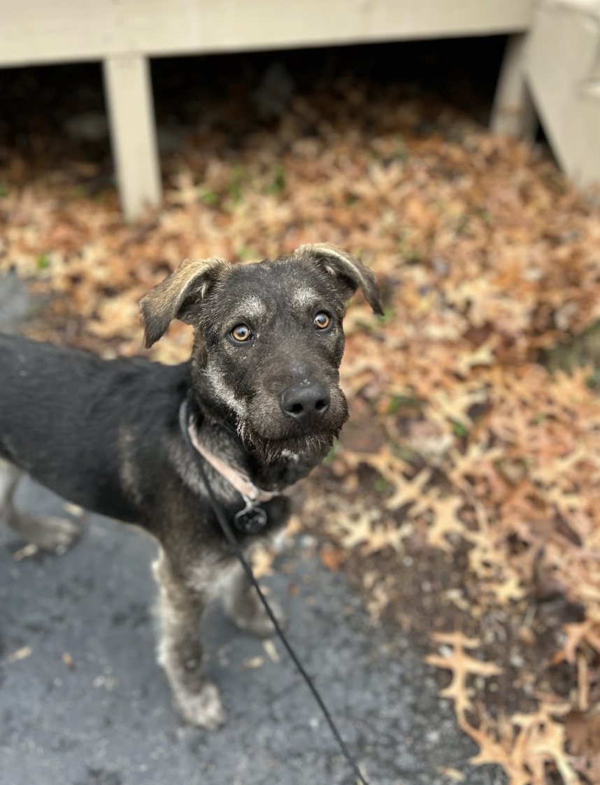 Screenshot 2026-01-14 at 9.24.19 PM.png