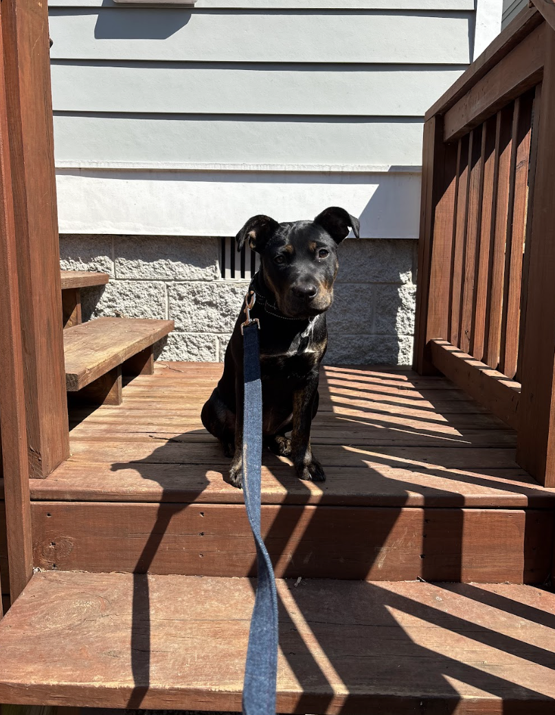 Screenshot 2026-04-23 at 8.12.47 PM.png