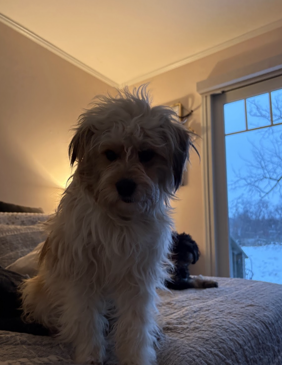 Screenshot 2026-01-25 at 10.21.00 AM.png