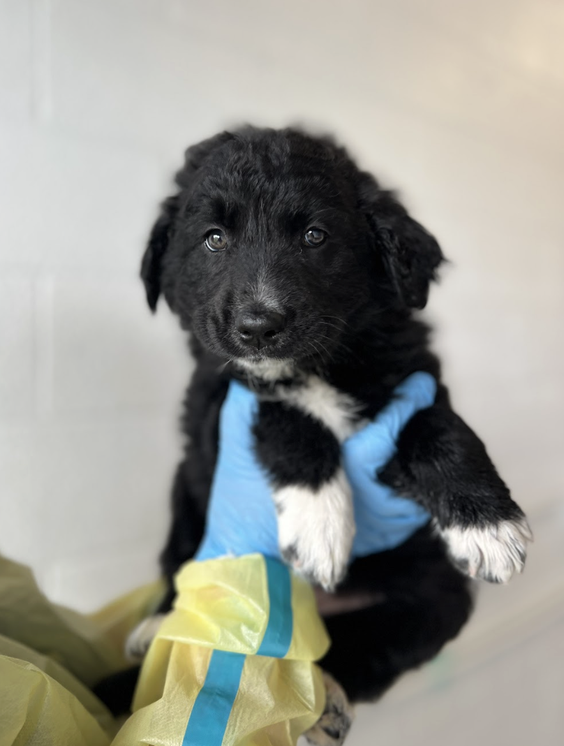 Screenshot 2026-04-16 at 4.12.38 PM.png