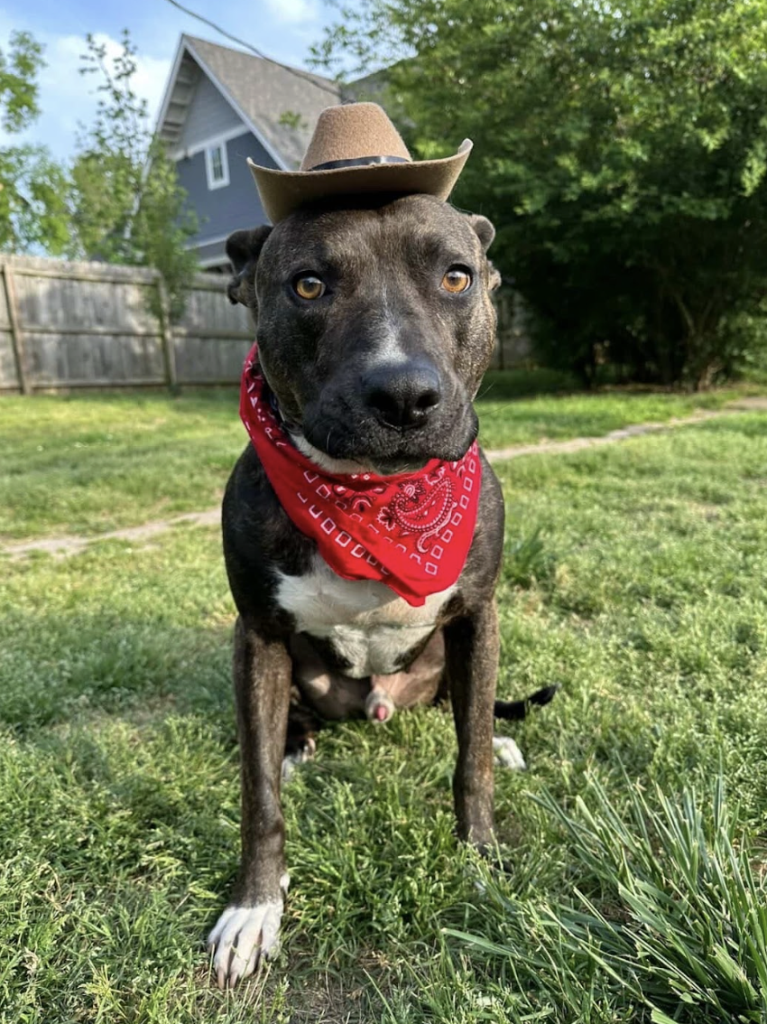 Screenshot 2026-04-22 at 4.41.45 PM.png