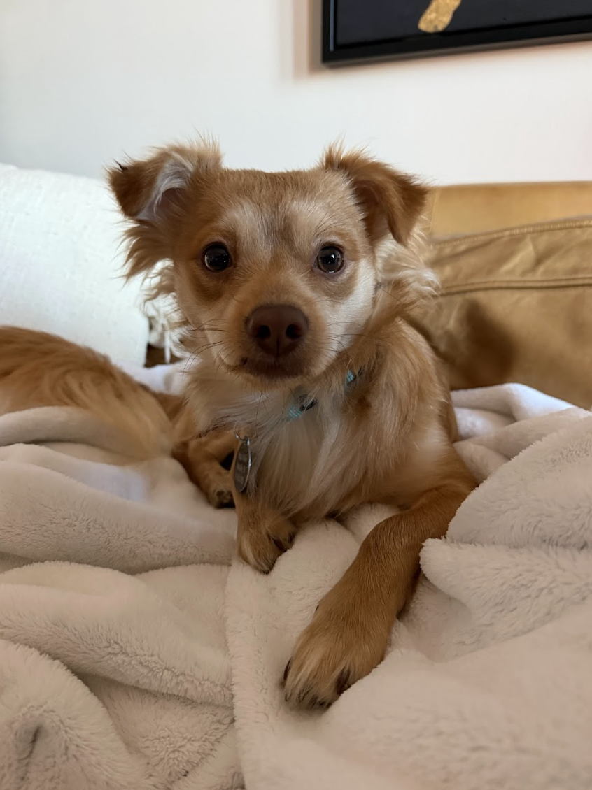 Screenshot 2026-03-21 at 2.13.15 PM.png