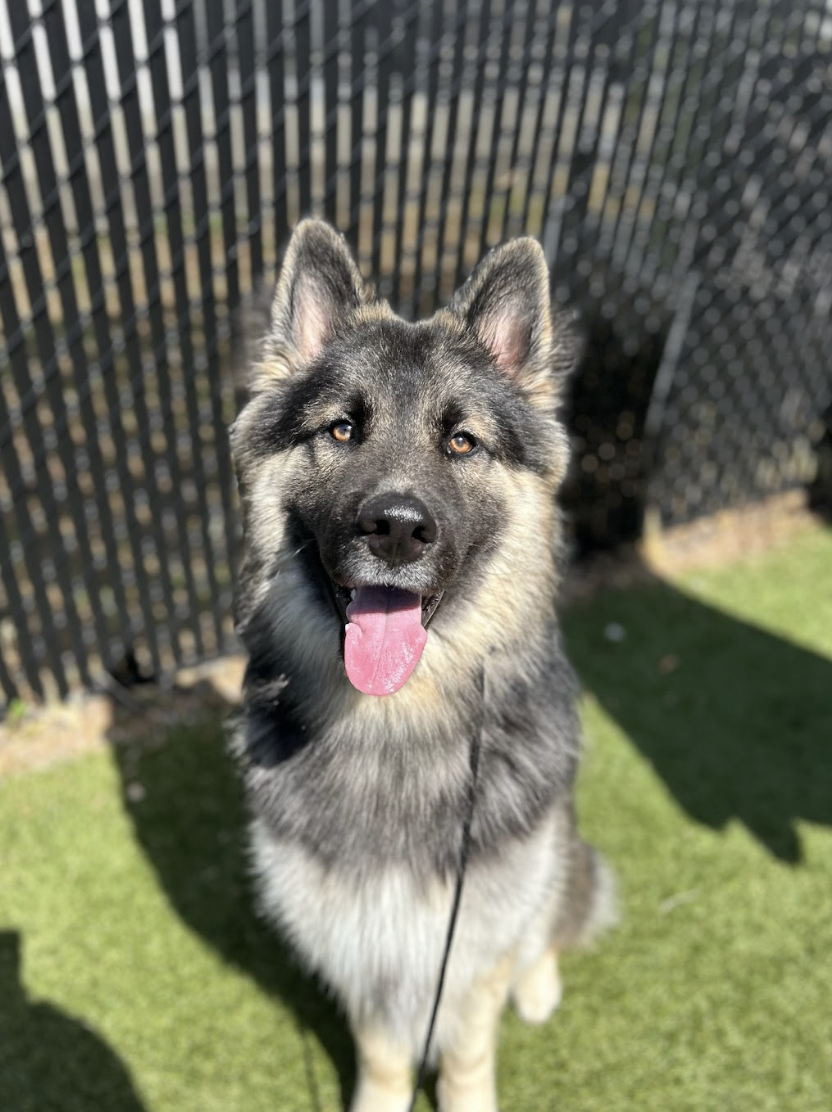 Screenshot 2026-04-23 at 1.44.34 PM.png