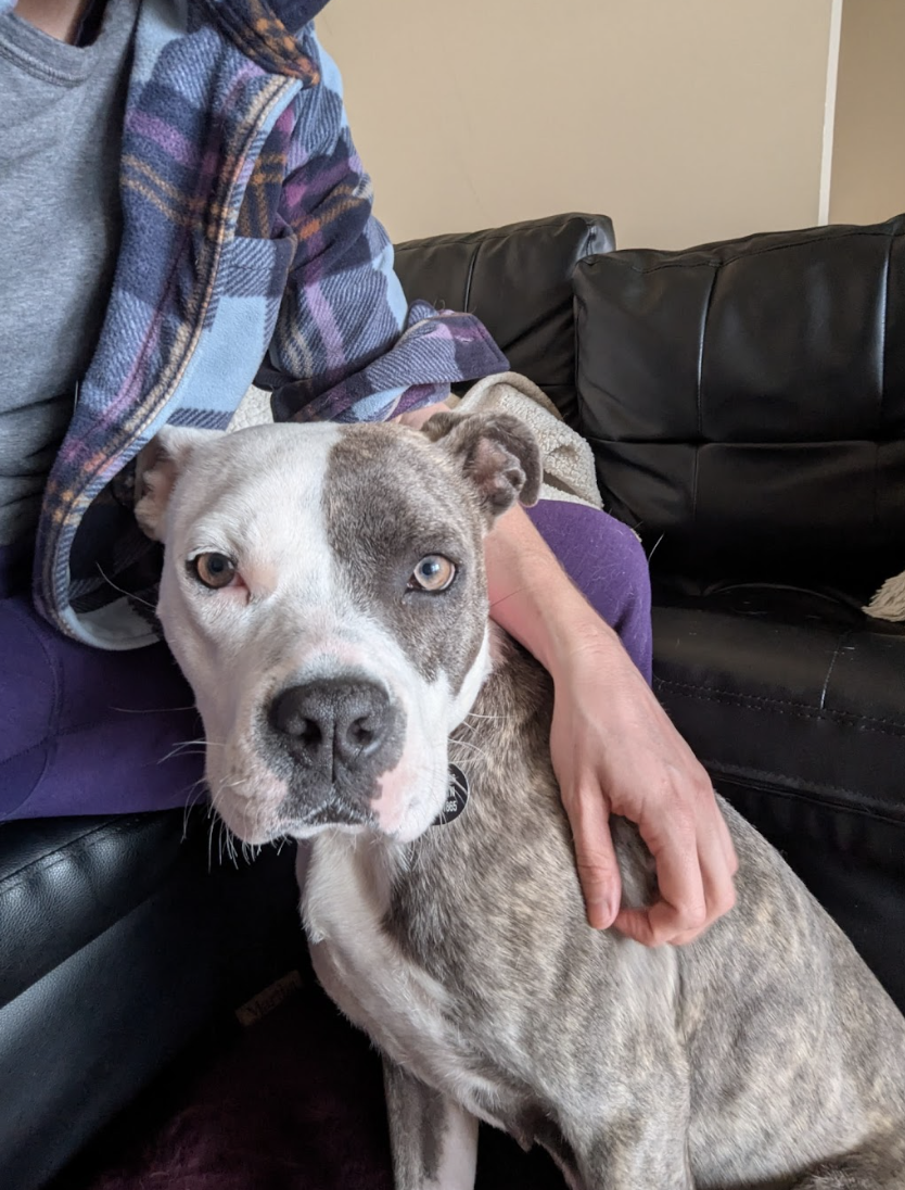 Screenshot 2026-03-27 at 4.47.51 PM.png