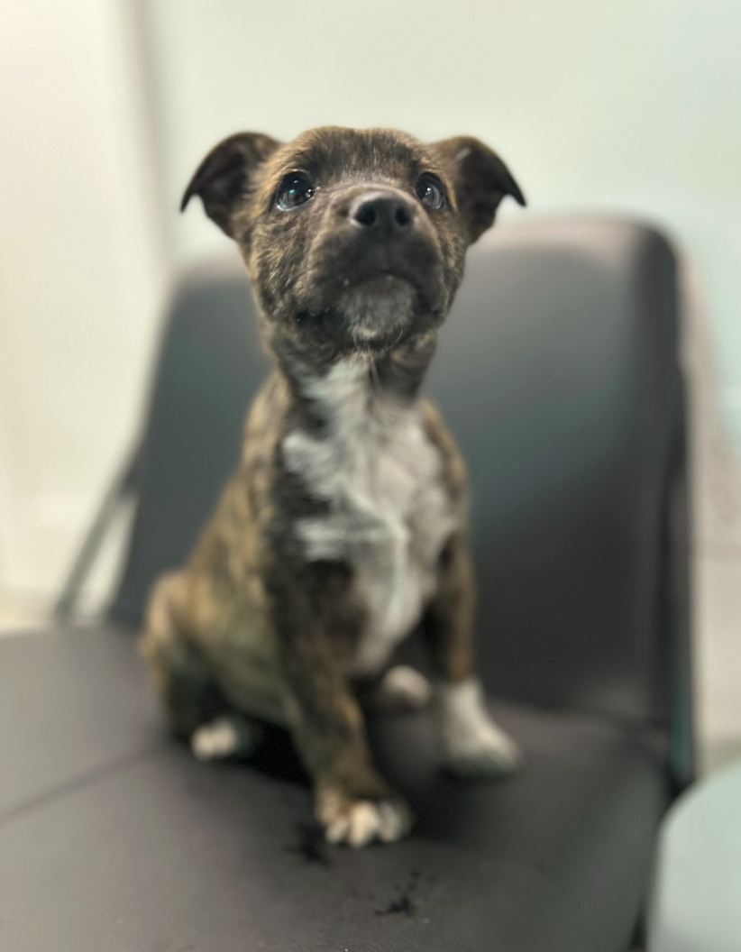 Screenshot 2026-02-19 at 7.08.49 PM.png