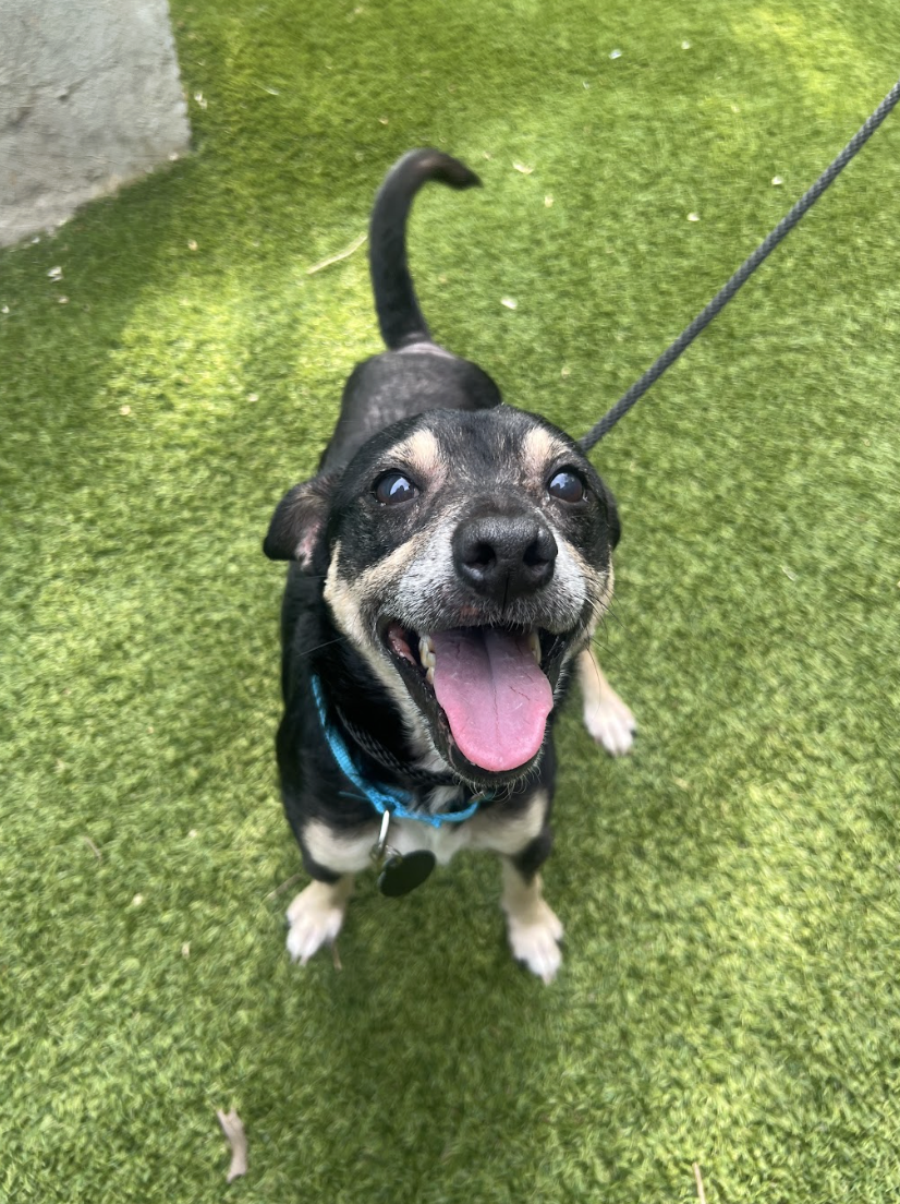 Screenshot 2026-04-21 at 1.42.42 PM.png