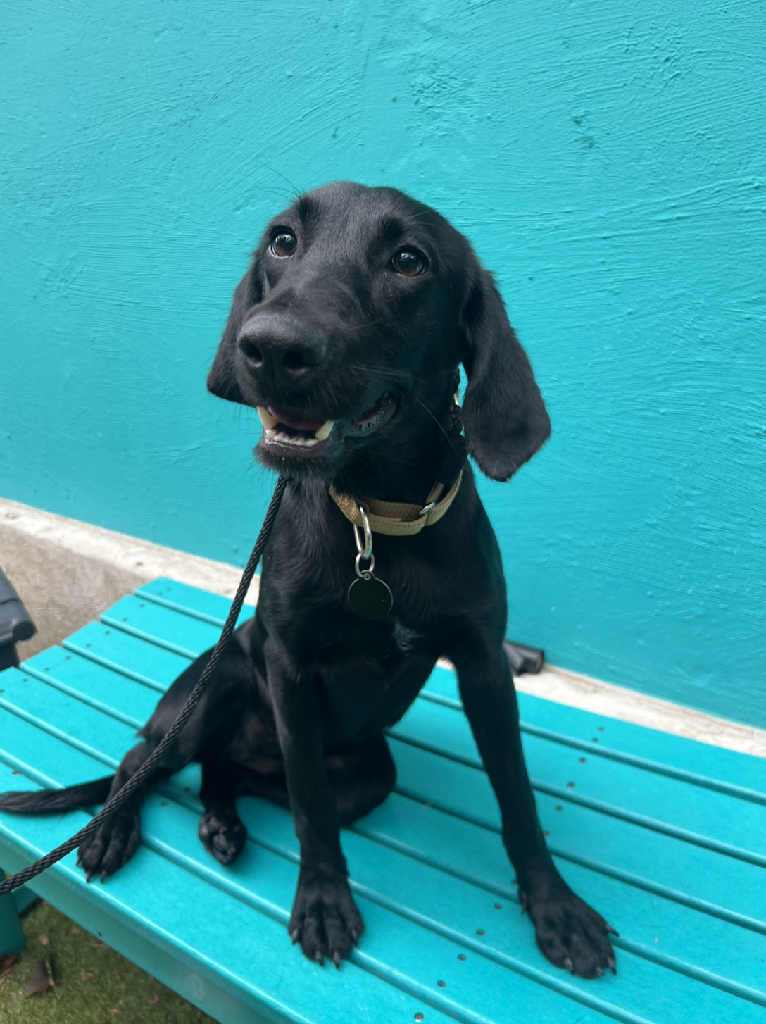 Screenshot 2025-11-04 at 3.35.19 PM.png