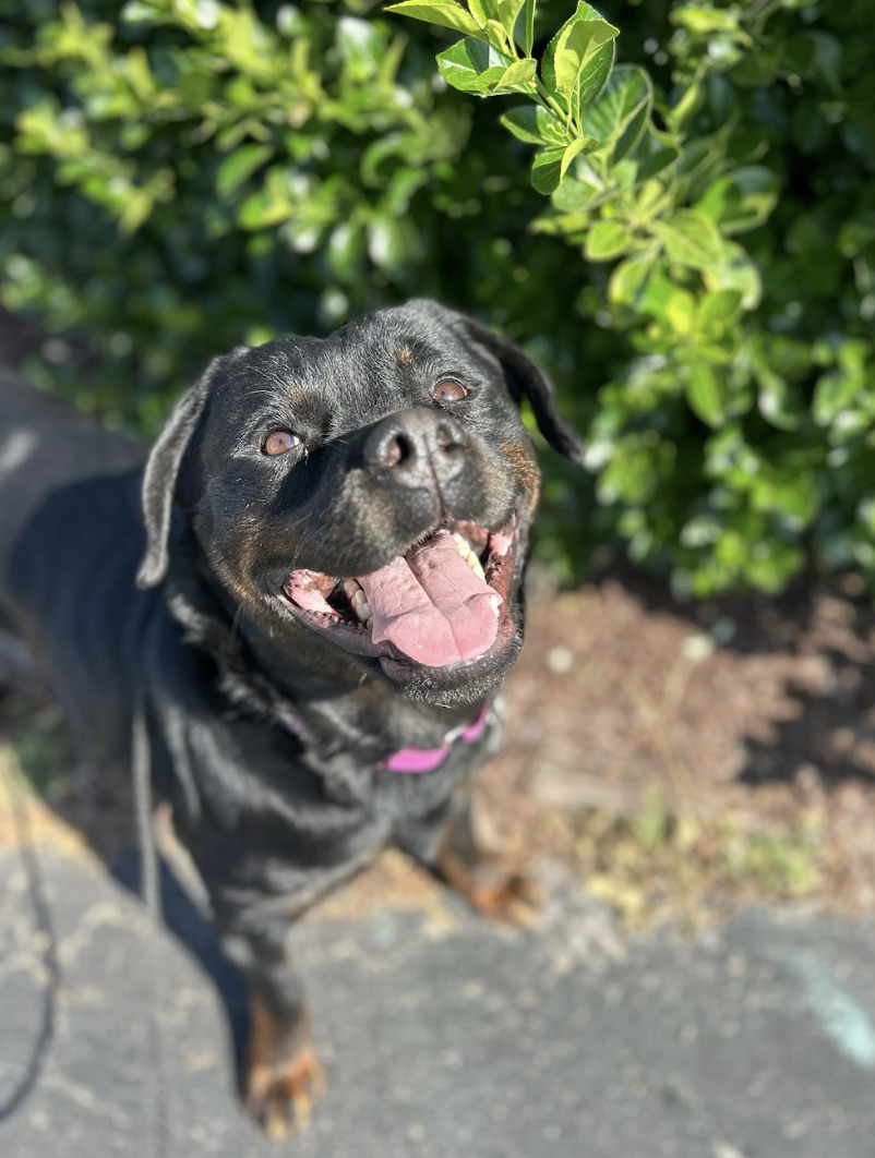 Screenshot 2026-04-23 at 1.54.50 PM.png