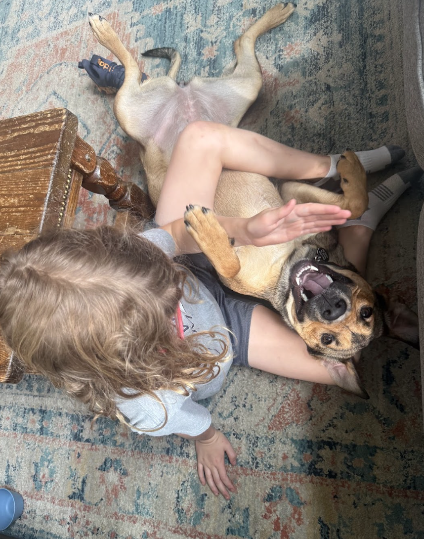 Screenshot 2026-04-22 at 4.23.09 PM.png