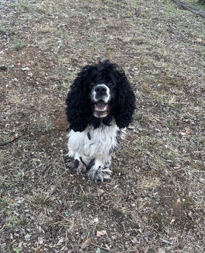 Screenshot 2026-01-24 at 7.52.05 PM.png