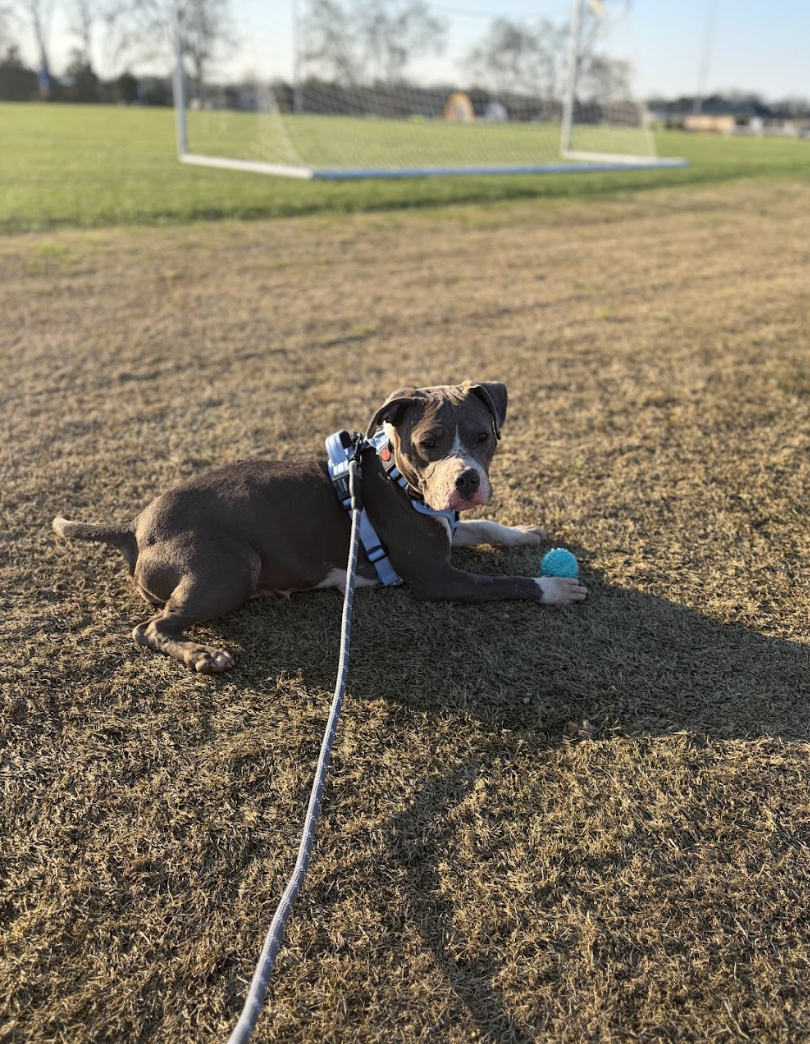 Screenshot 2026-04-20 at 1.20.50 PM.png