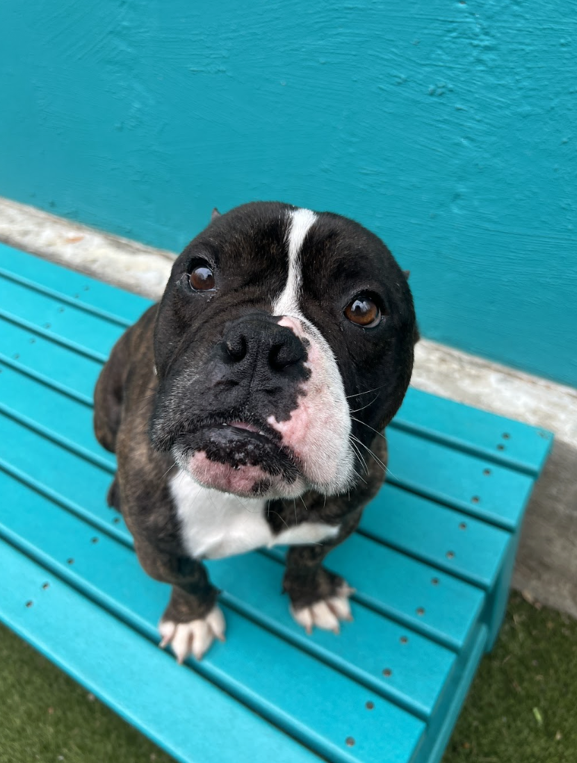 Screenshot 2026-03-30 at 1.15.31 PM.png