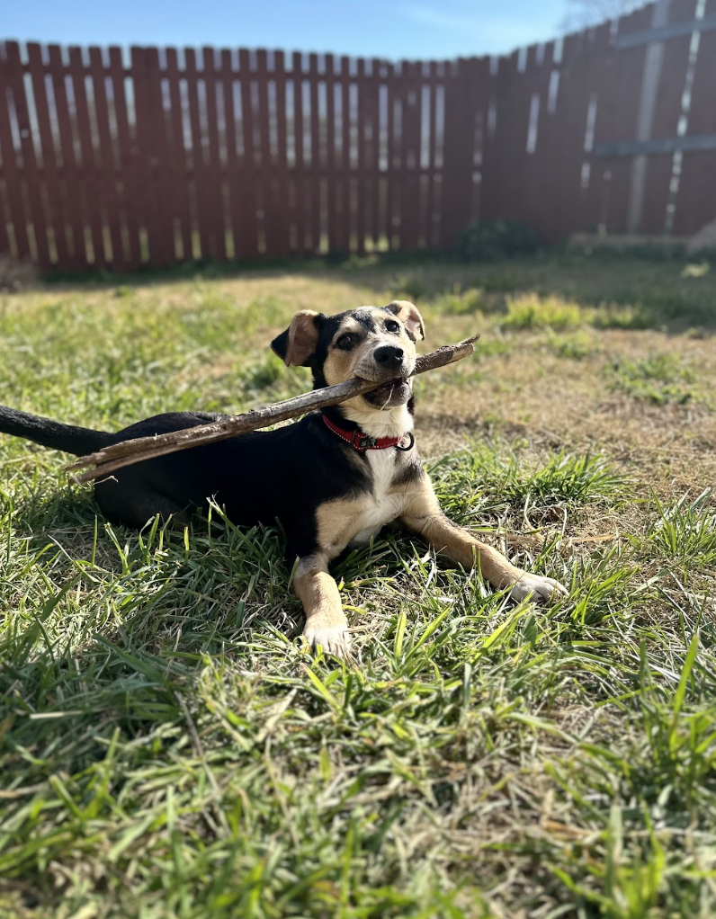 Screenshot 2026-04-03 at 1.05.53 PM.png