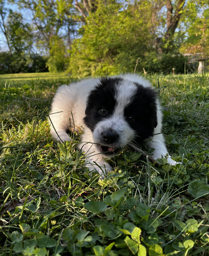 Screenshot 2026-04-13 at 2.47.06 PM.png