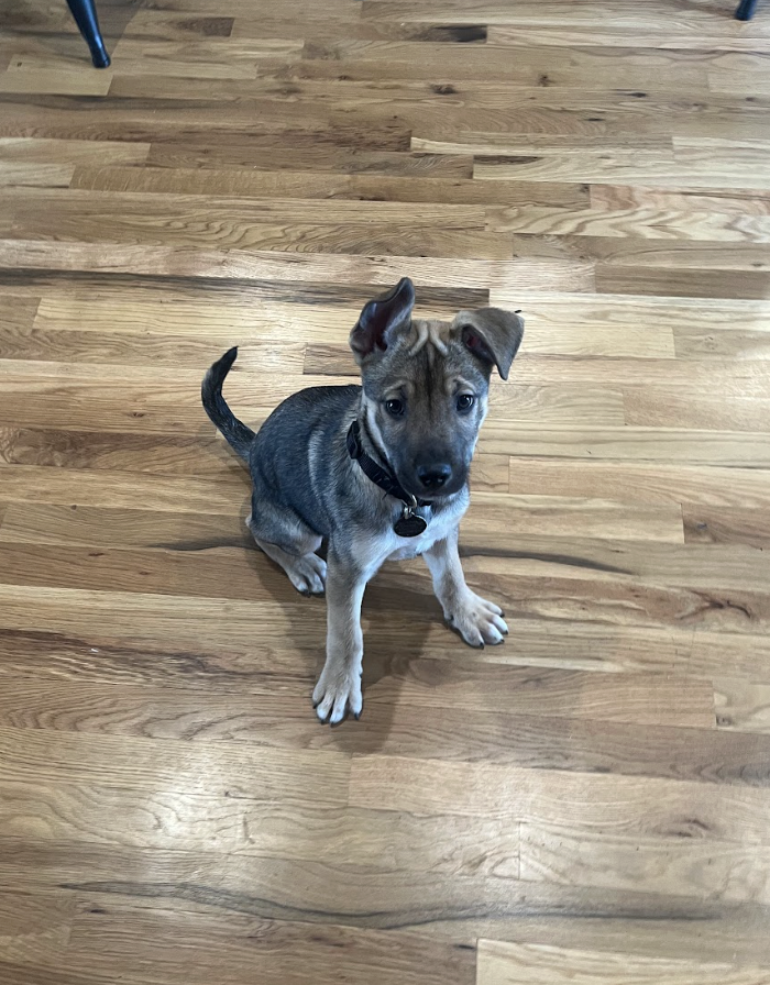 Screenshot 2026-02-20 at 4.11.00 PM.png