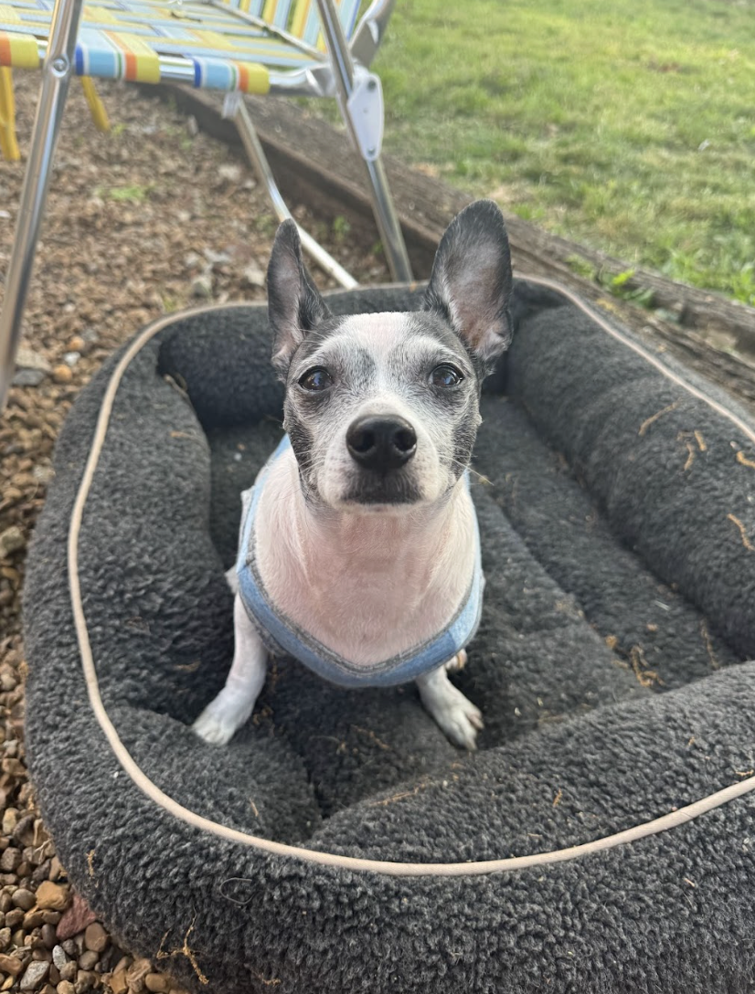 Screenshot 2026-04-22 at 4.12.32 PM.png