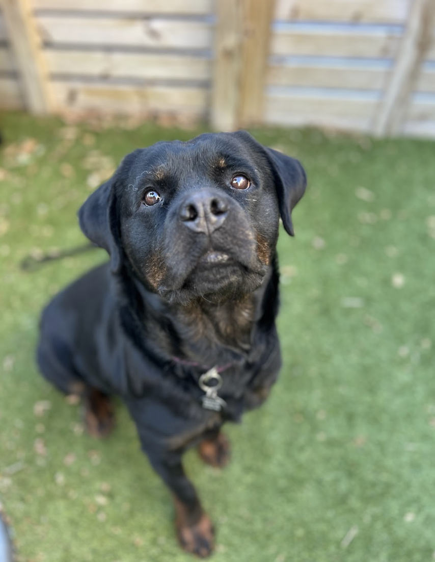 Screenshot 2026-04-23 at 1.54.31 PM.png