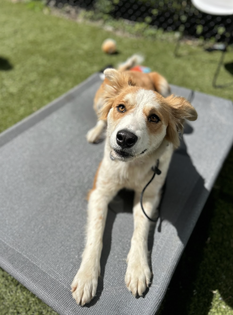 Screenshot 2026-03-14 at 5.05.29 PM.png