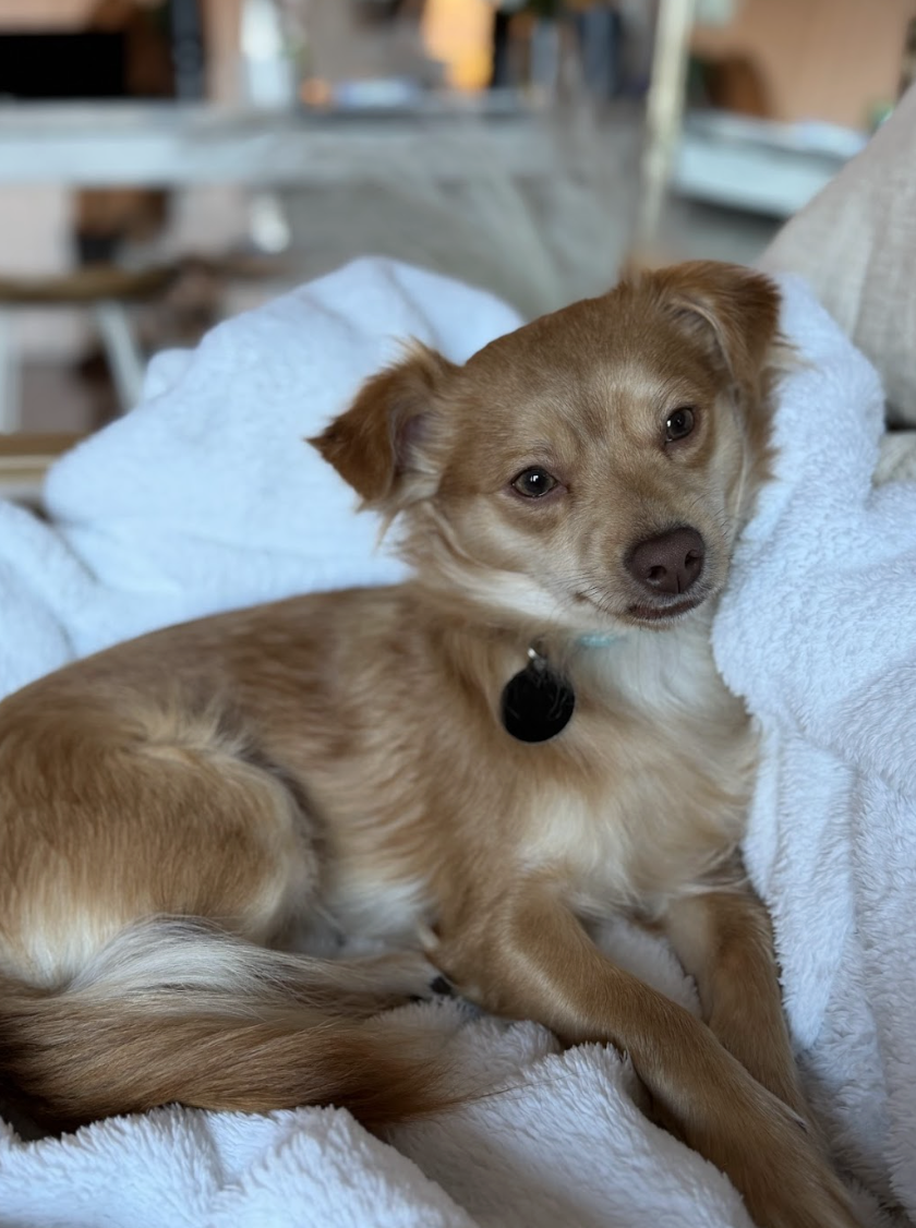 Screenshot 2026-03-21 at 2.13.39 PM.png