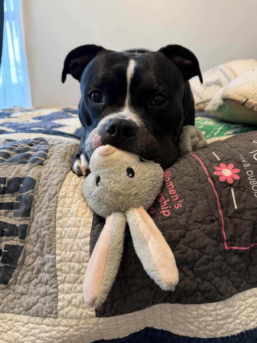 Screenshot 2026-02-26 at 2.20.52 PM.png