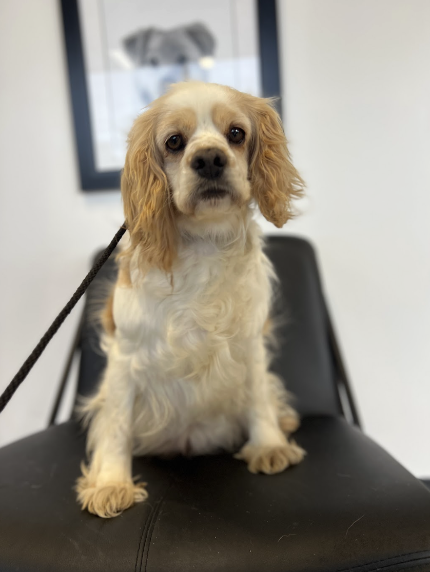 Screenshot 2026-03-21 at 2.22.13 PM.png