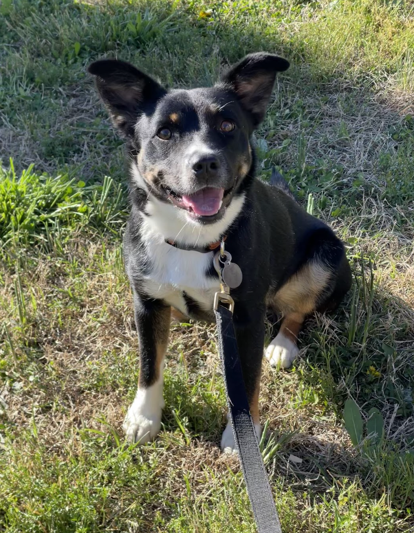 Screenshot 2026-04-22 at 4.49.52 PM.png