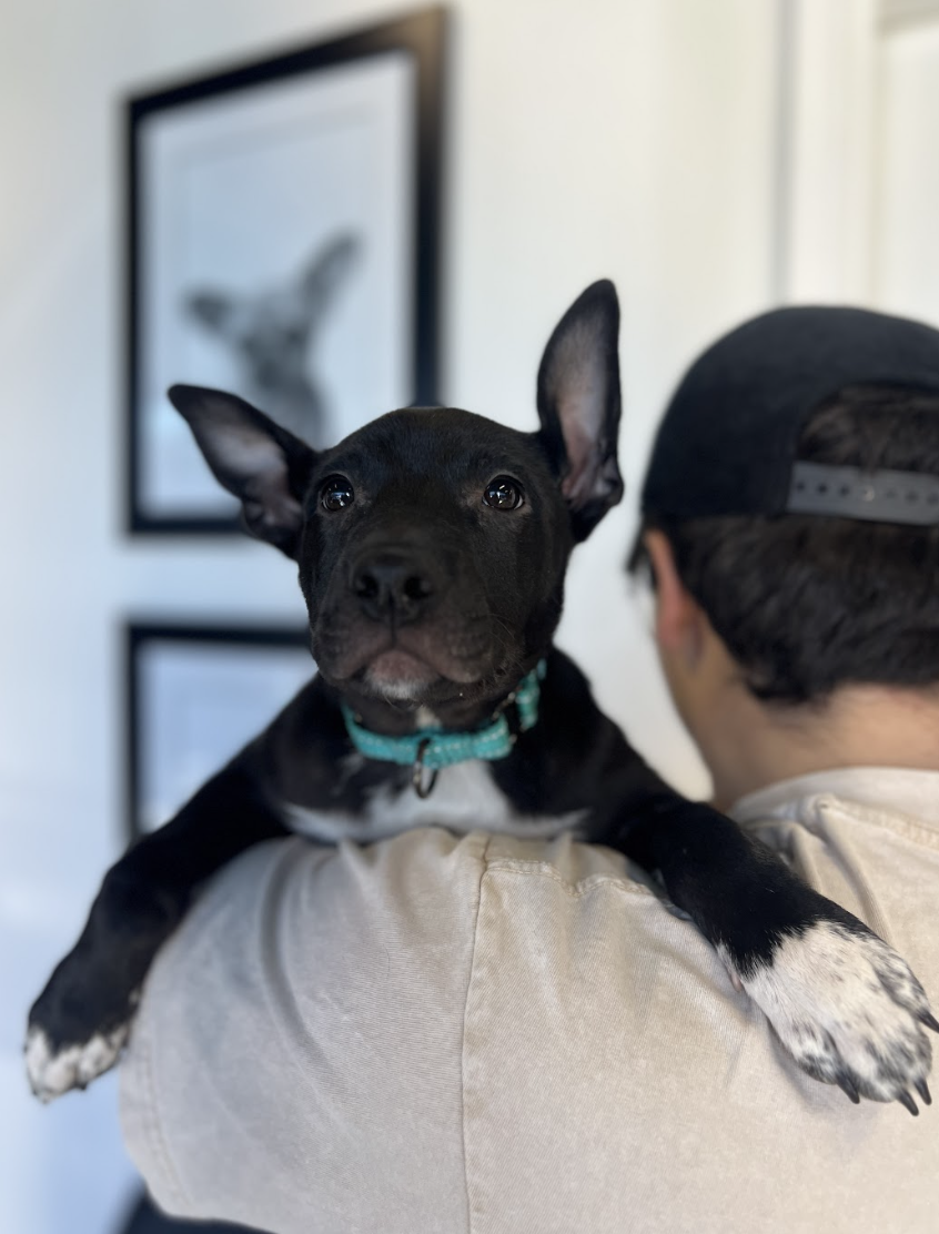 Screenshot 2026-02-20 at 2.50.32 PM.png