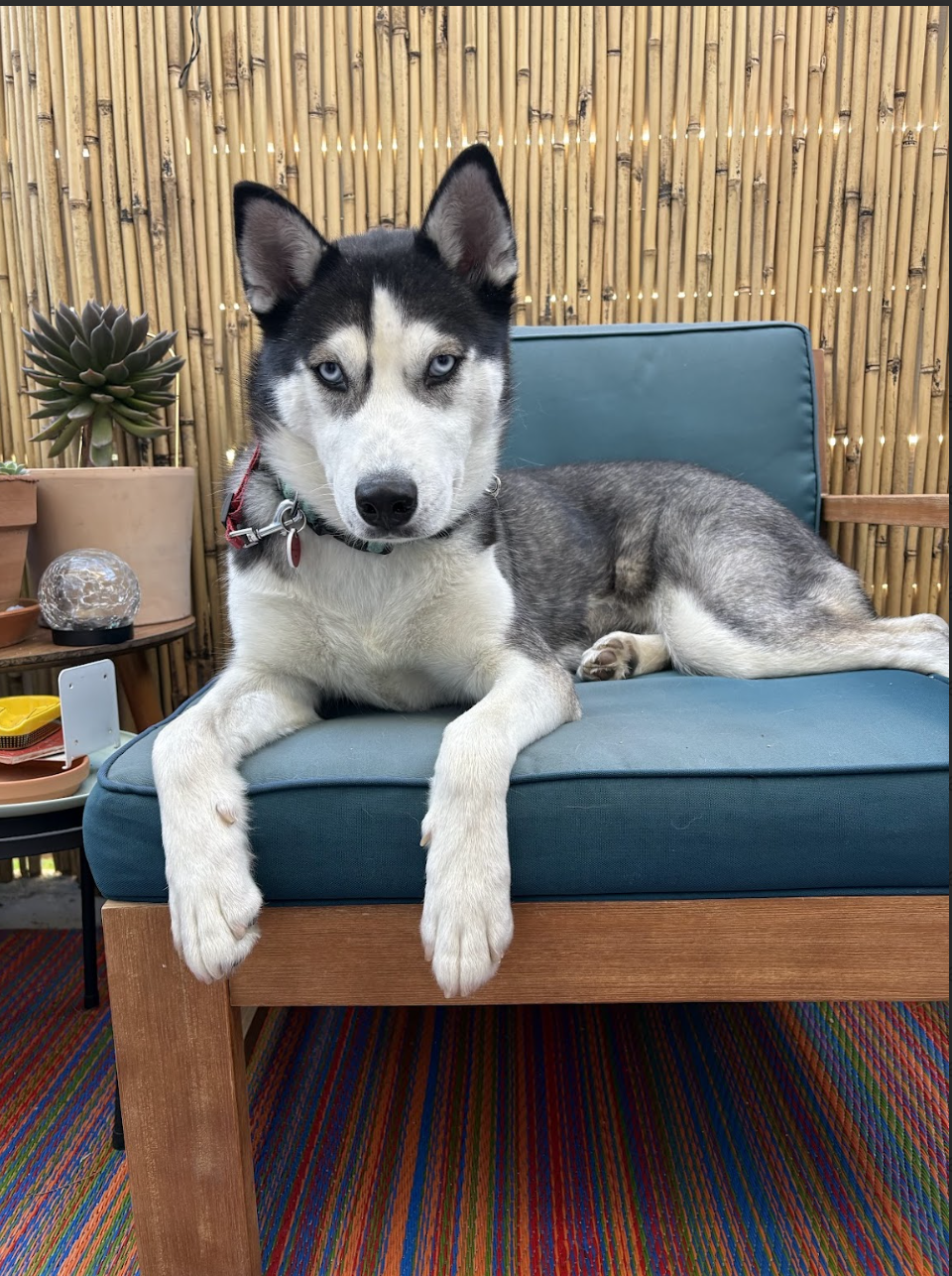 Screenshot 2025-12-30 at 6.23.45 PM.png