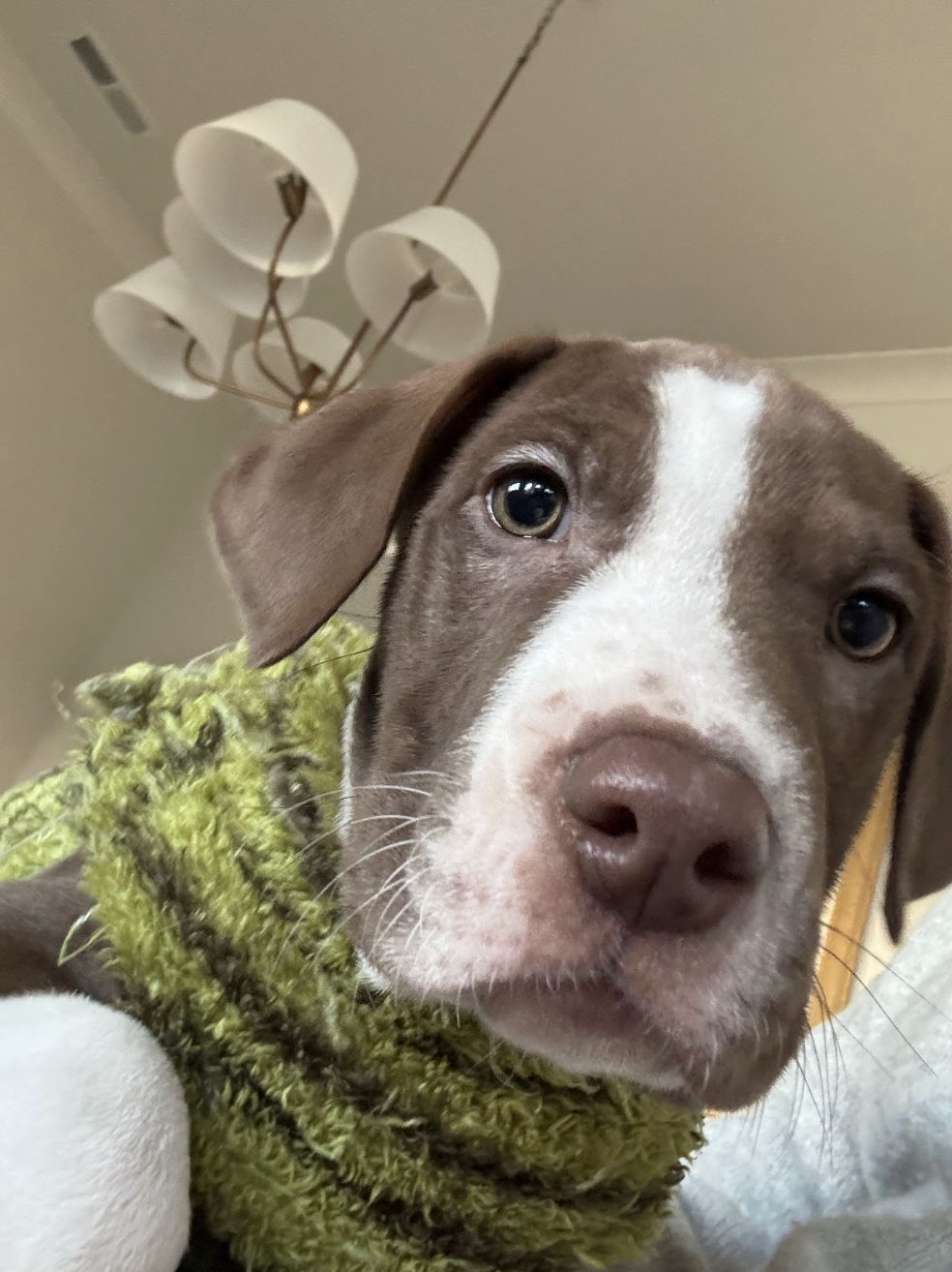 Screenshot 2026-01-02 at 12.50.42 PM.png