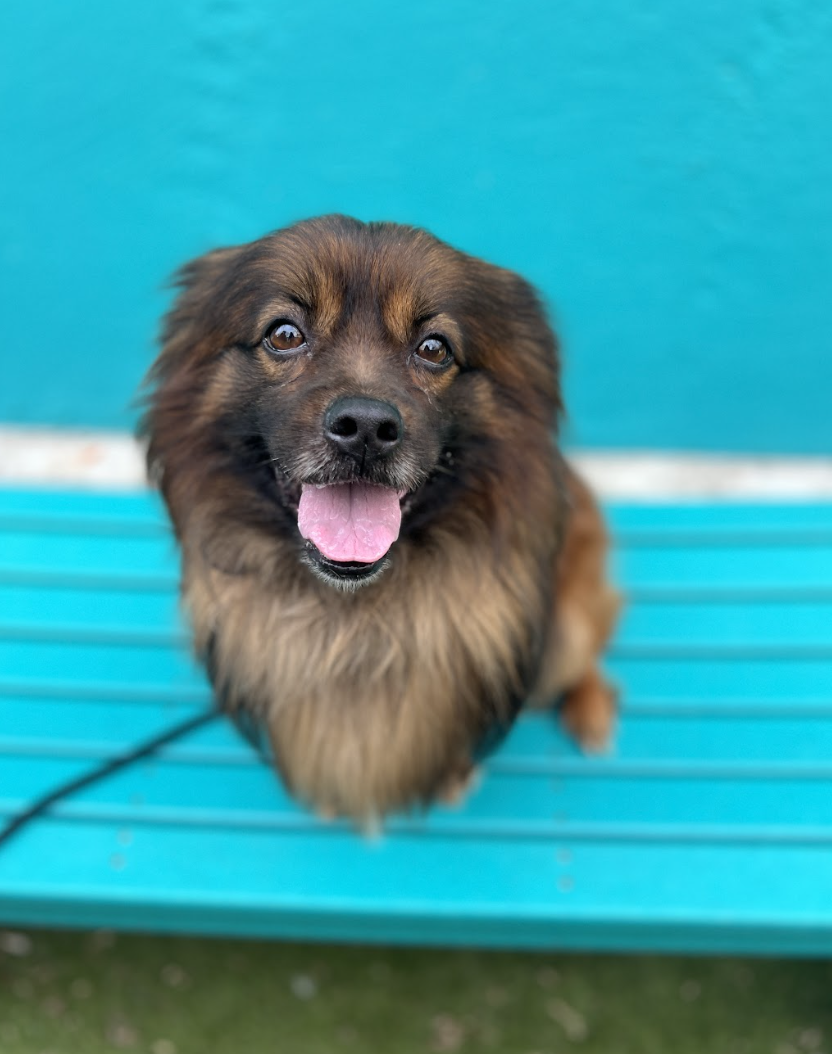 Screenshot 2026-03-14 at 4.54.30 PM.png