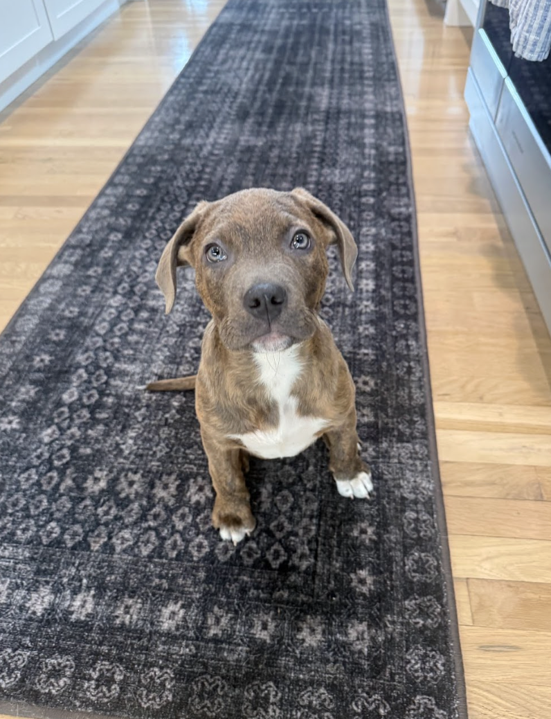 Screenshot 2026-02-20 at 3.52.40 PM.png