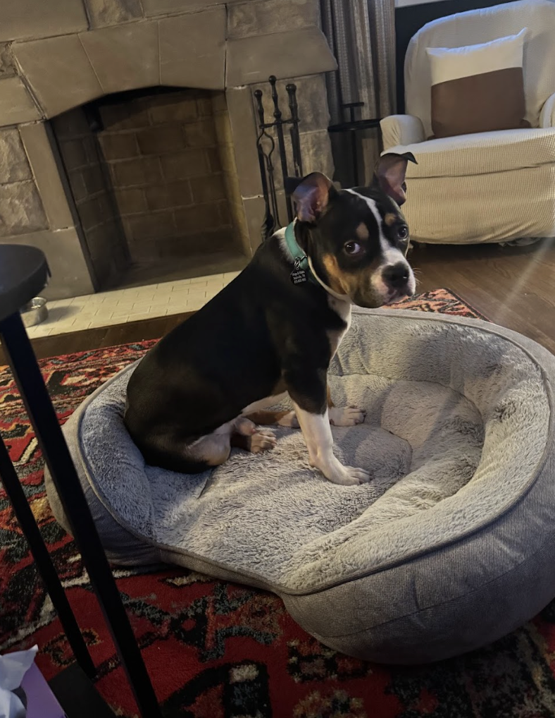 Screenshot 2026-03-06 at 2.21.42 PM.png