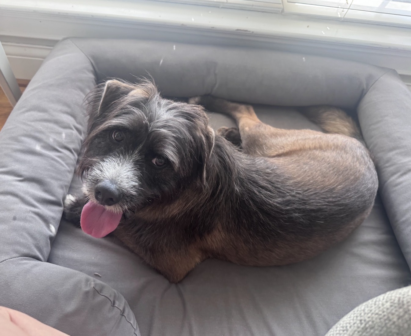 Screenshot 2026-04-28 at 2.05.18 PM.png