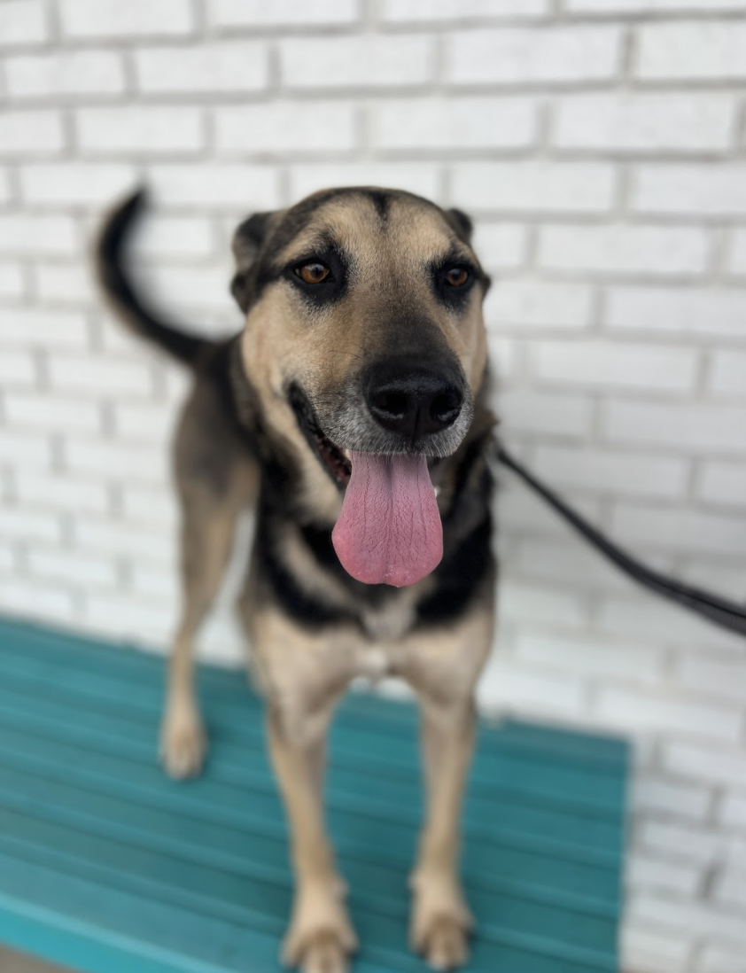 Screenshot 2026-04-14 at 7.26.09 PM.png