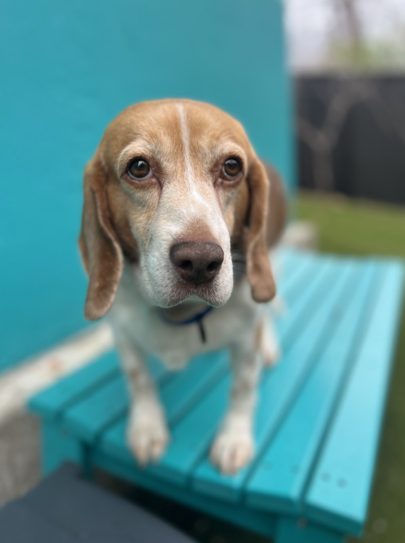 Screenshot 2026-03-11 at 6.31.55 PM.png