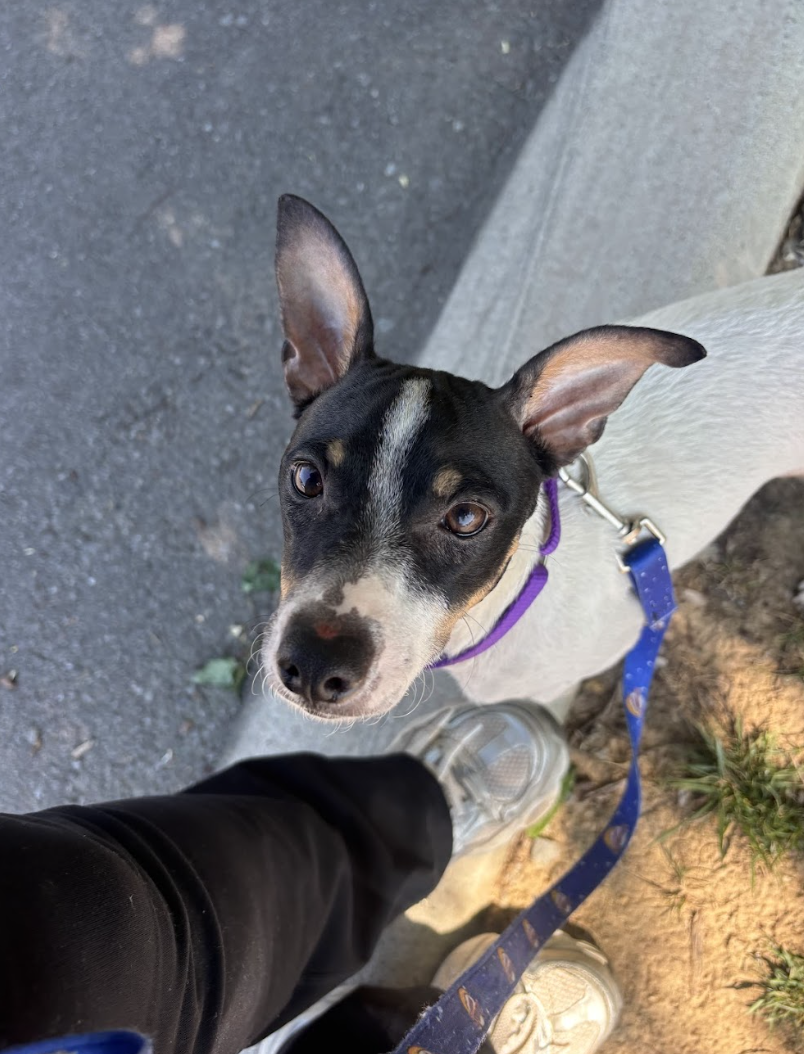 Screenshot 2026-04-21 at 1.49.02 PM.png