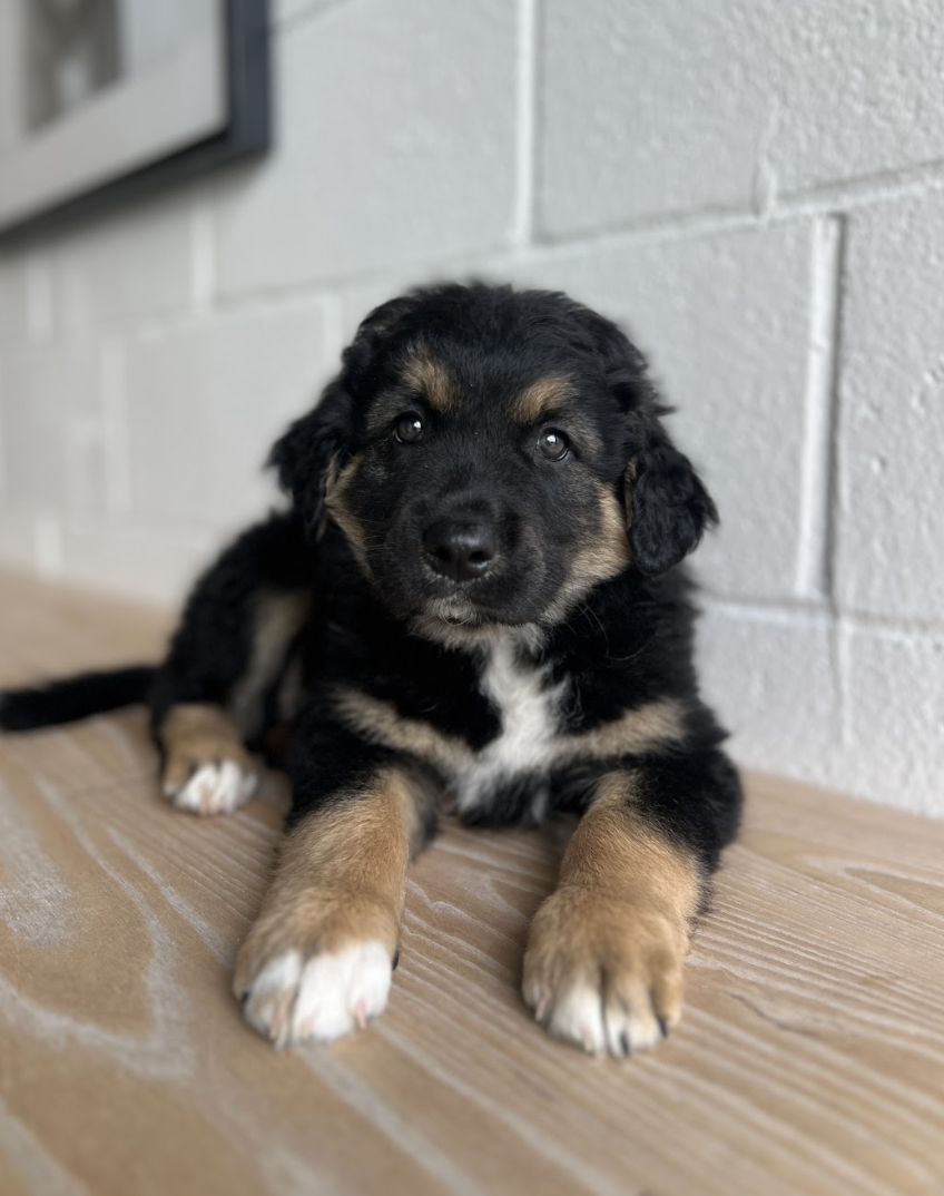 Screenshot 2026-04-16 at 4.14.01 PM.png