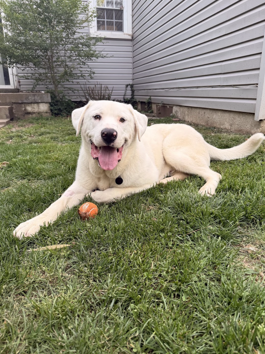 Screenshot 2026-04-14 at 5.22.58 PM.png