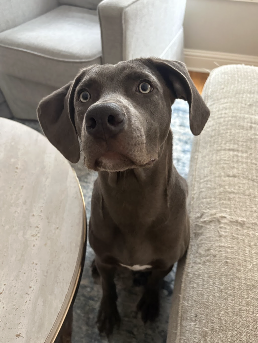 Screenshot 2026-01-24 at 3.28.02 PM.png