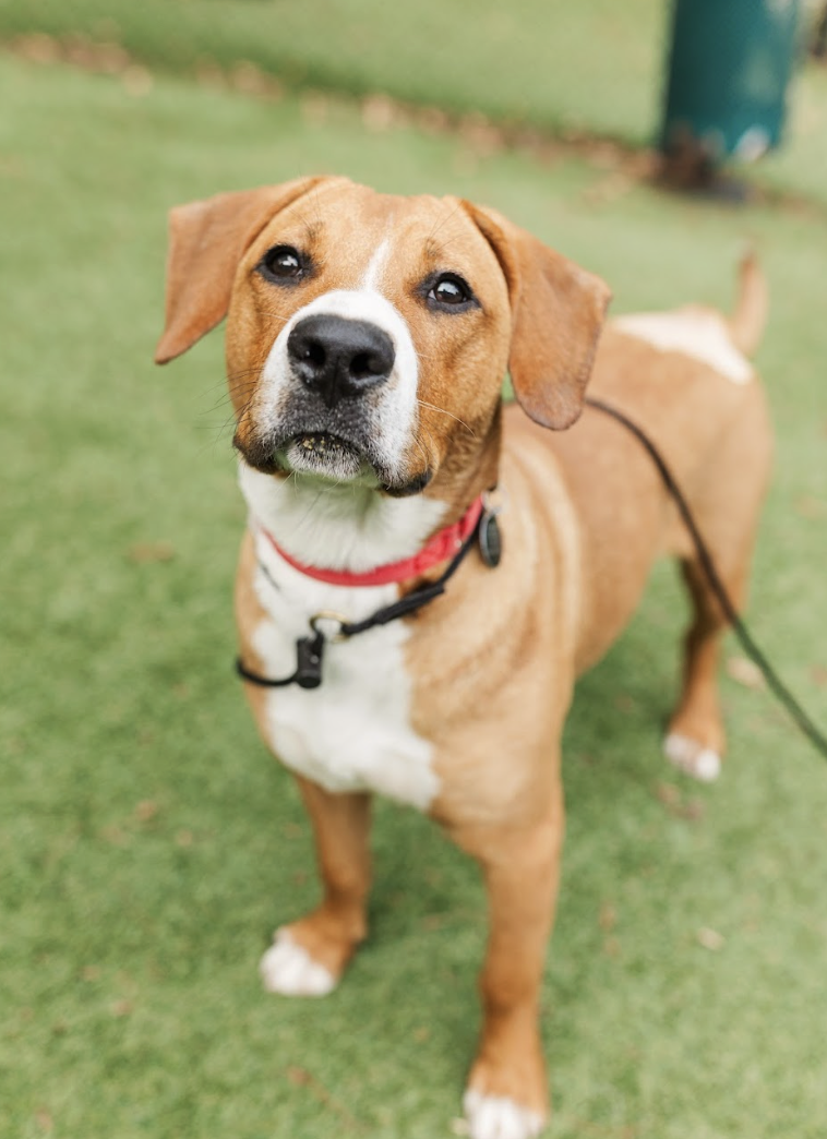 Screenshot 2026-03-20 at 4.11.31 PM.png