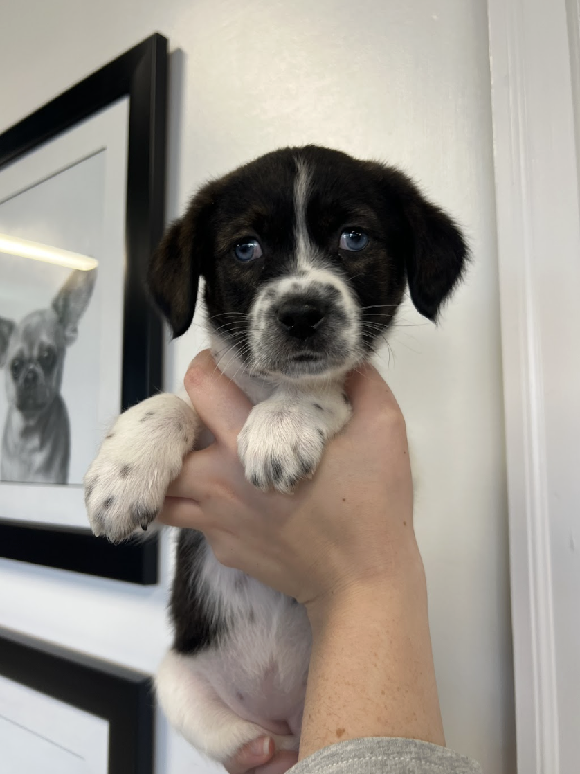 Screenshot 2026-02-14 at 2.07.11 PM.png