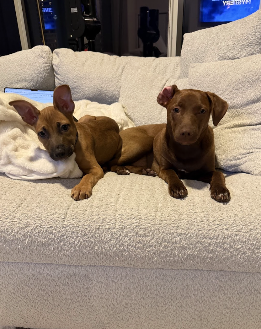 Screenshot 2026-04-03 at 1.57.02 PM.png