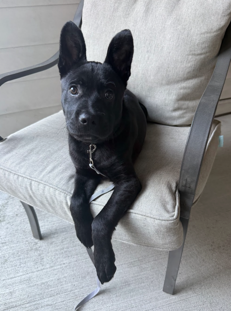 Screenshot 2026-04-03 at 1.50.35 PM.png