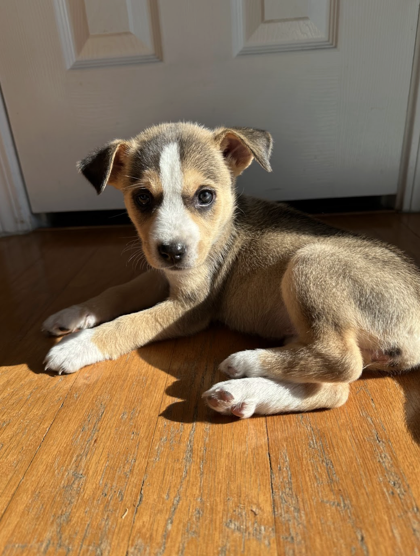 Screenshot 2026-01-15 at 7.45.21 PM.png