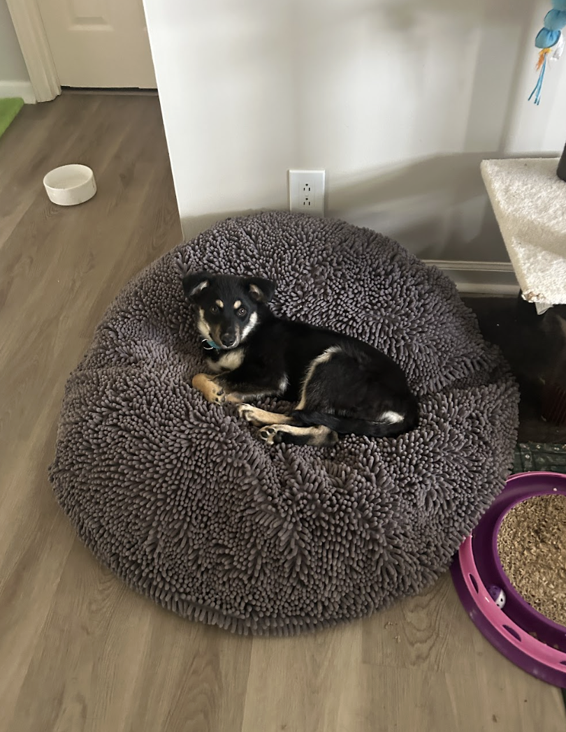 Screenshot 2026-04-20 at 2.41.11 PM.png