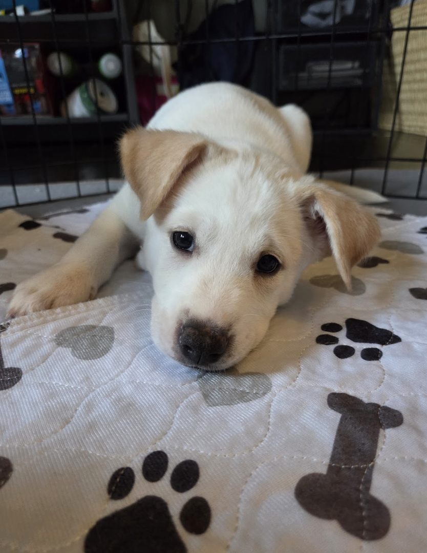 Screenshot 2026-01-14 at 6.32.31 PM.png