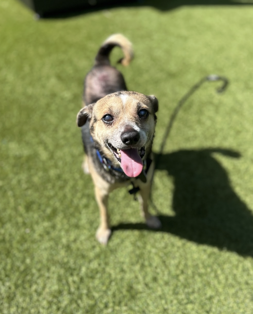 Screenshot 2026-04-28 at 2.08.54 PM.png